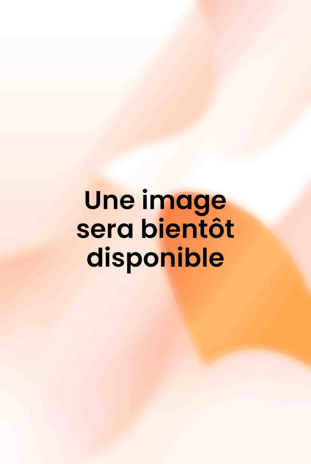 Comment pensent les forêts : vers une anthropologie au-delà de l'humain