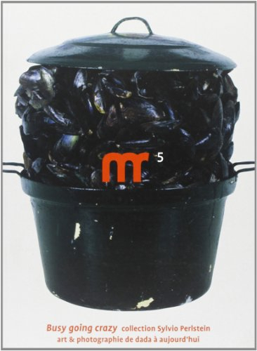 Busy going crazy : collection Sylvio Perlstein : art et photographie de dada à aujourd'hui