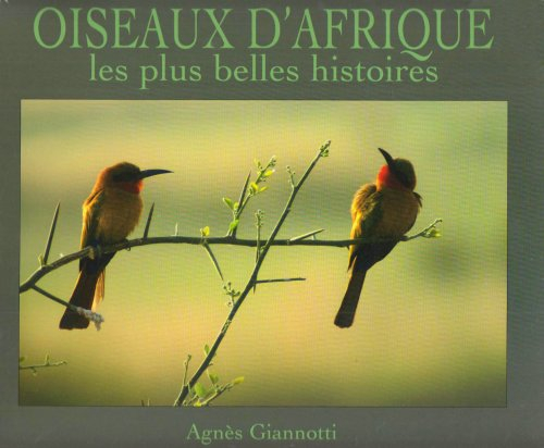 Oiseaux d'Afrique : les plus belles histoires