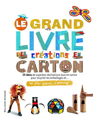 Le grand livre des créations en carton : 25 idées de superbes réalisatione tout en carton pour recyc