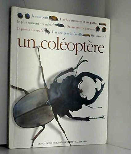 Qui suis-je ? Un coléoptère