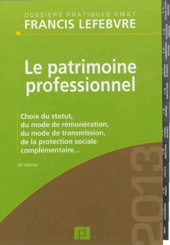 Le patrimoine professionnel : choix du statut, du mode de rémunération, du mode de transmission, de 