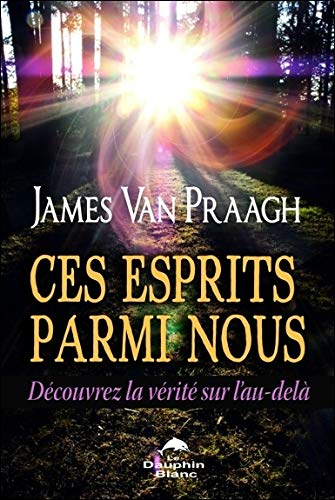 Ces esprits parmi nous : découvrez la vérité sur l'au-delà