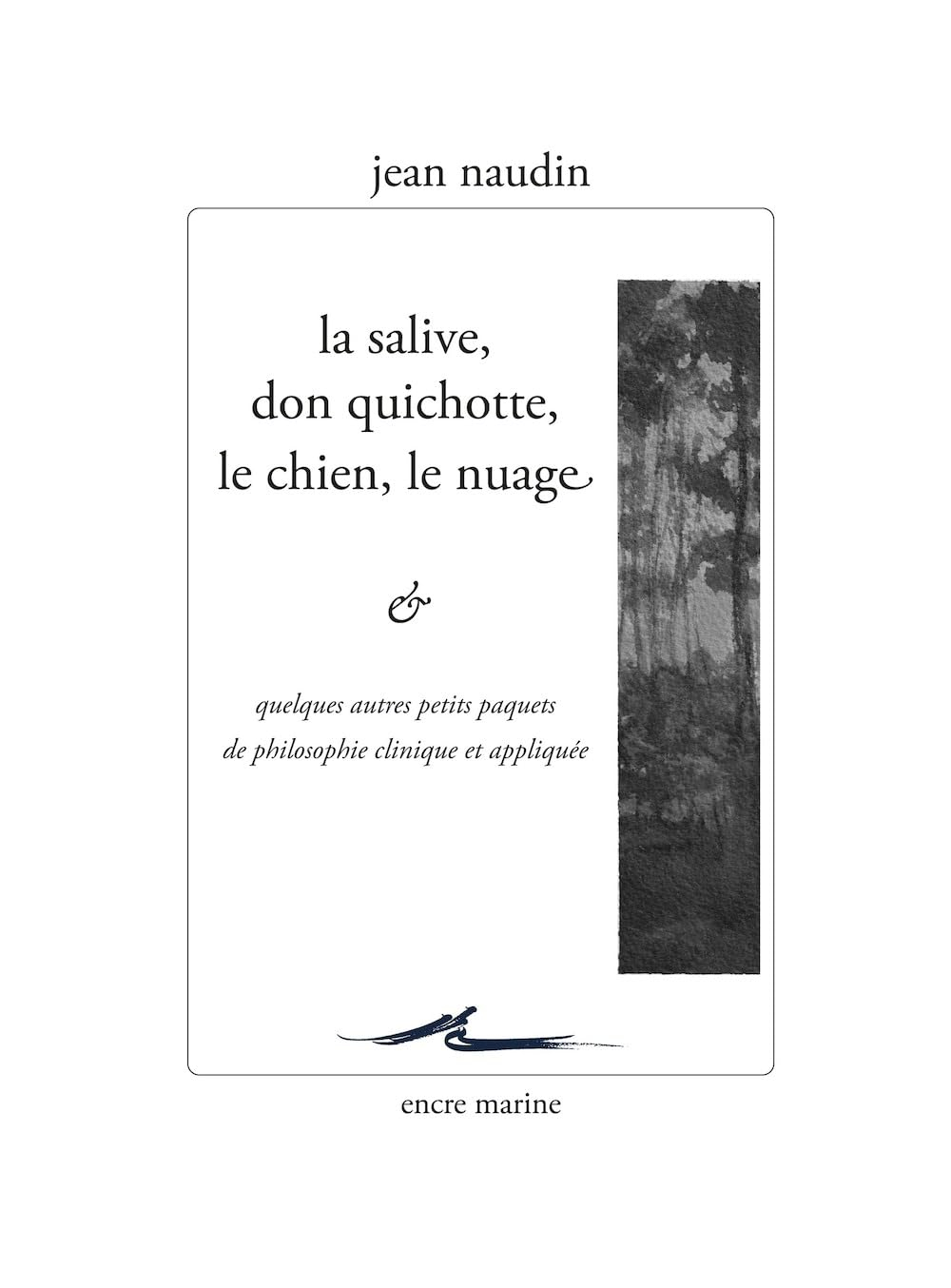 La salive, Don Quichotte, le chien, le nuage : & quelques autres petits paquets de philosophie clini