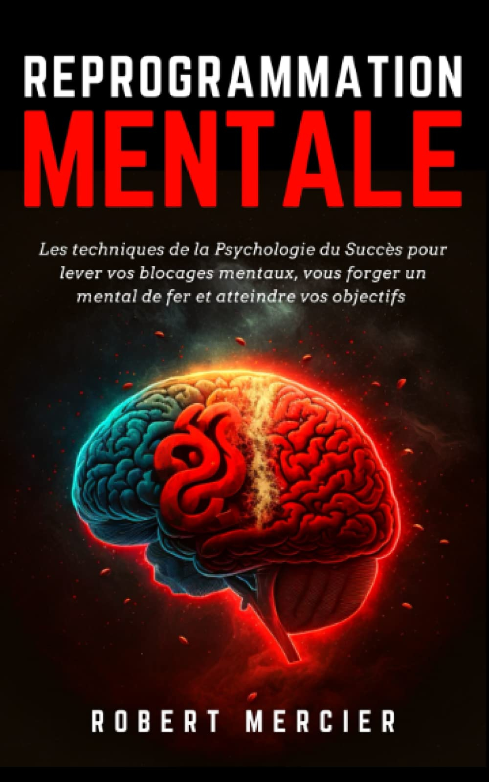 REPROGRAMMATION MENTALE: Les techniques de la psychologie du succès pour lever vos blocages mentaux,
