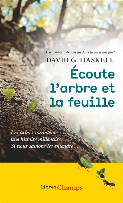 Ecoute l'arbre et la feuille : les arbres racontent une histoire millénaire : si nous savions les en