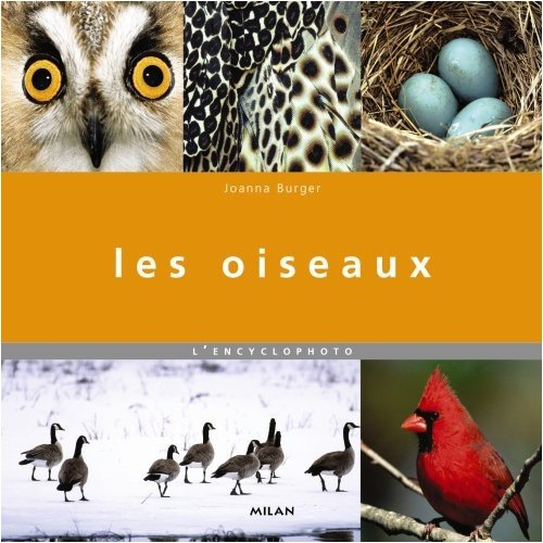 Les oiseaux