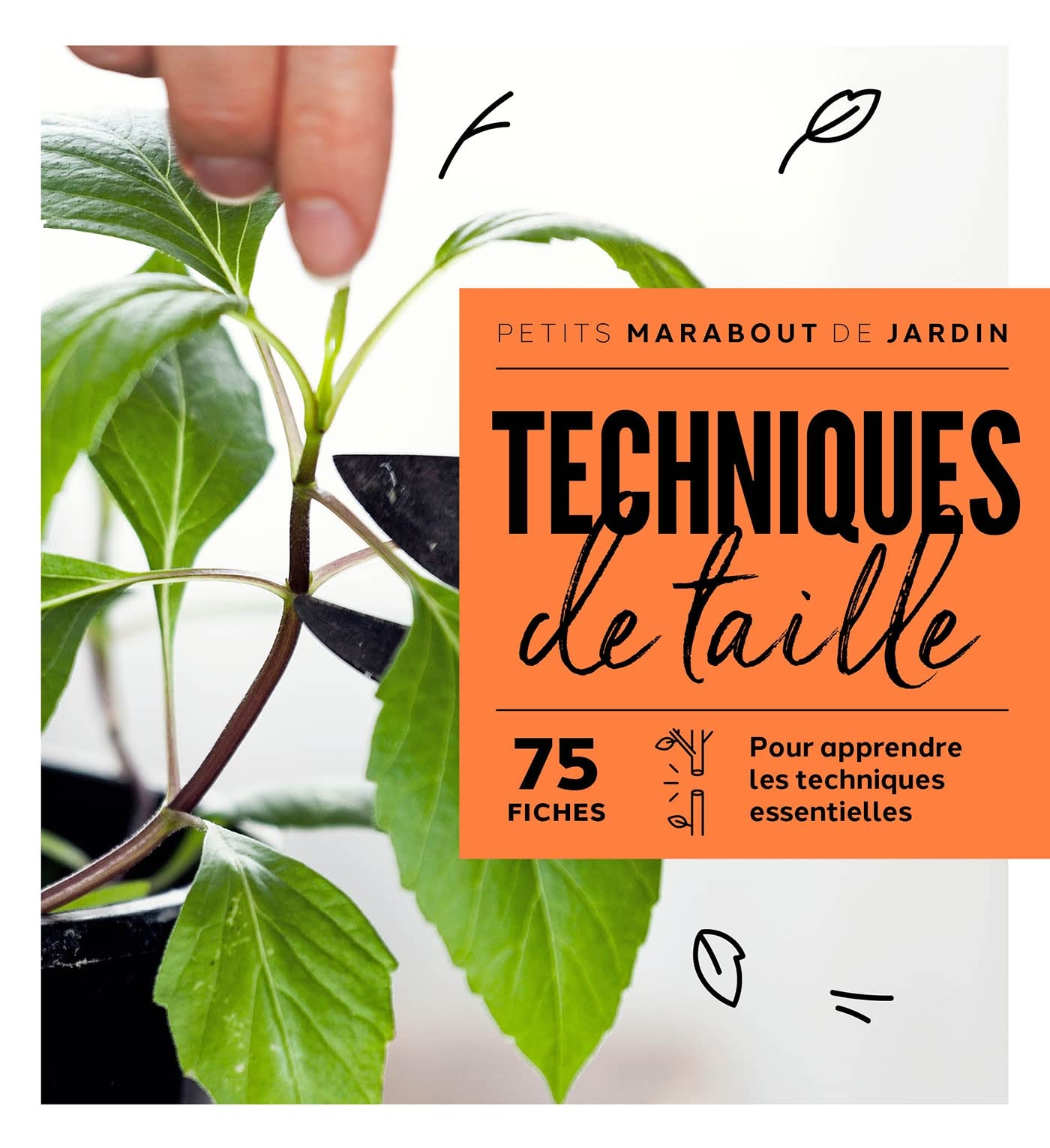 Techniques de taille : 75 fiches : pour apprendre les techniques essentielles