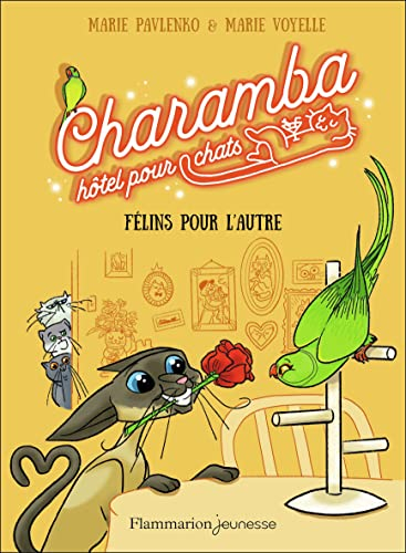 Charamba, hôtel pour chats. Félins pour l'autre