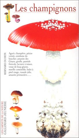 Les champignons
