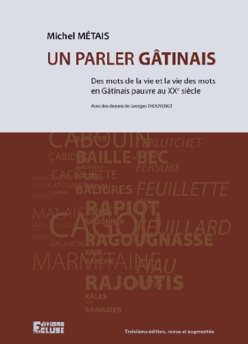 Un parler gâtinais : des mots de la vie et la vie des mots en Gâtinais pauvre au XXe siècle