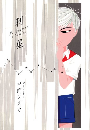 Le piqueur d'étoiles