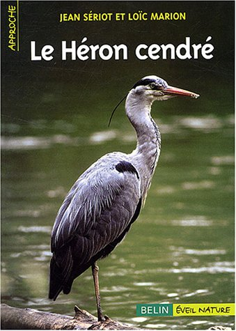 Le héron cendré