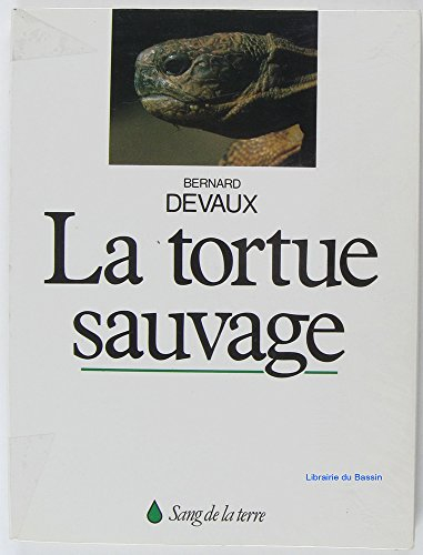 la tortue sauvage des maures ou tortue d'hermann