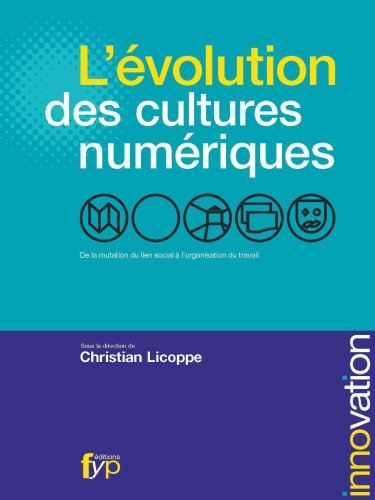 L'évolution des cultures numériques : de la mutation du lien social à l'organisation du travail