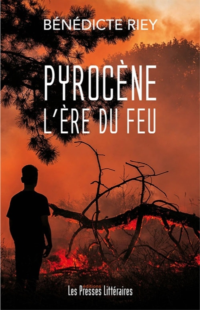 Pyrocène l?ère du feu