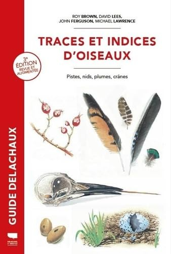 Traces et indices d'oiseaux : pistes, nids, plumes, crânes