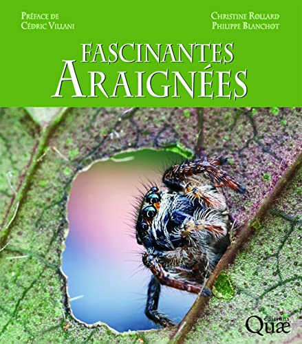 Fascinantes araignées