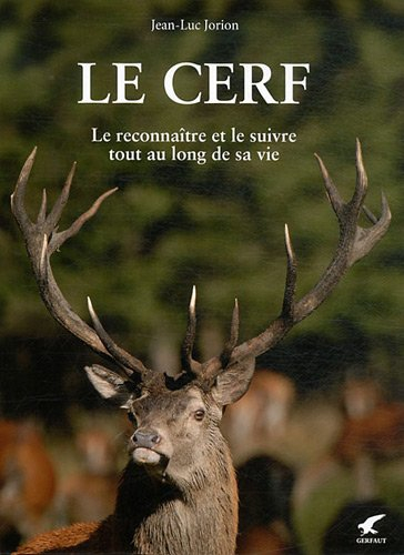 Le cerf : le reconnaître et le suivre tout au long de sa vie
