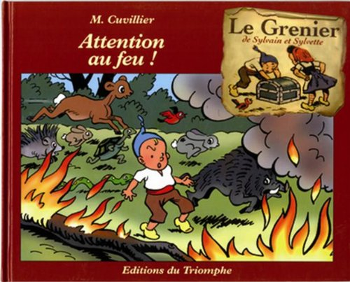 Le grenier de Sylvain et Sylvette. Vol. 4. Attention au feu !