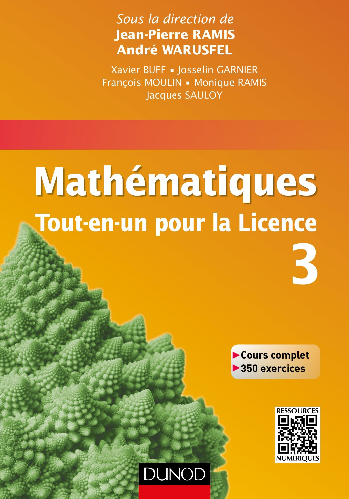 Mathématiques, tout-en-un pour la licence 3