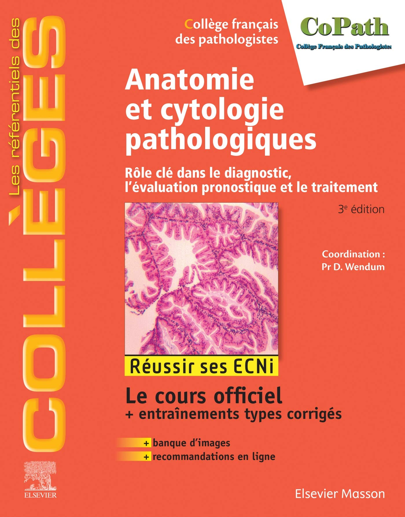 Anatomie et cytologie pathologiques : rôle clé dans le diagnostic, l'évaluation pronostique et le tr