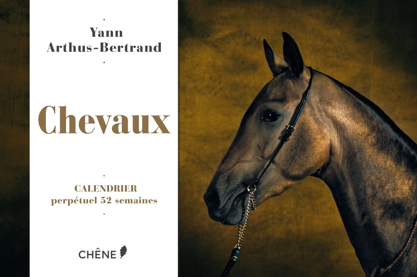 Chevaux : calendrier perpétuel 52 semaines