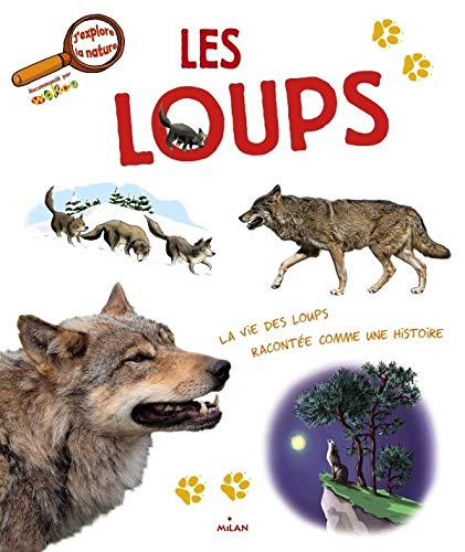 Les loups : la vie des loups racontée comme une histoire