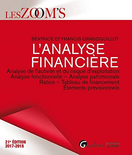 L'analyse financière : analyse de l'activité et du risque d'exploitation, analyse fonctionnelle, ana