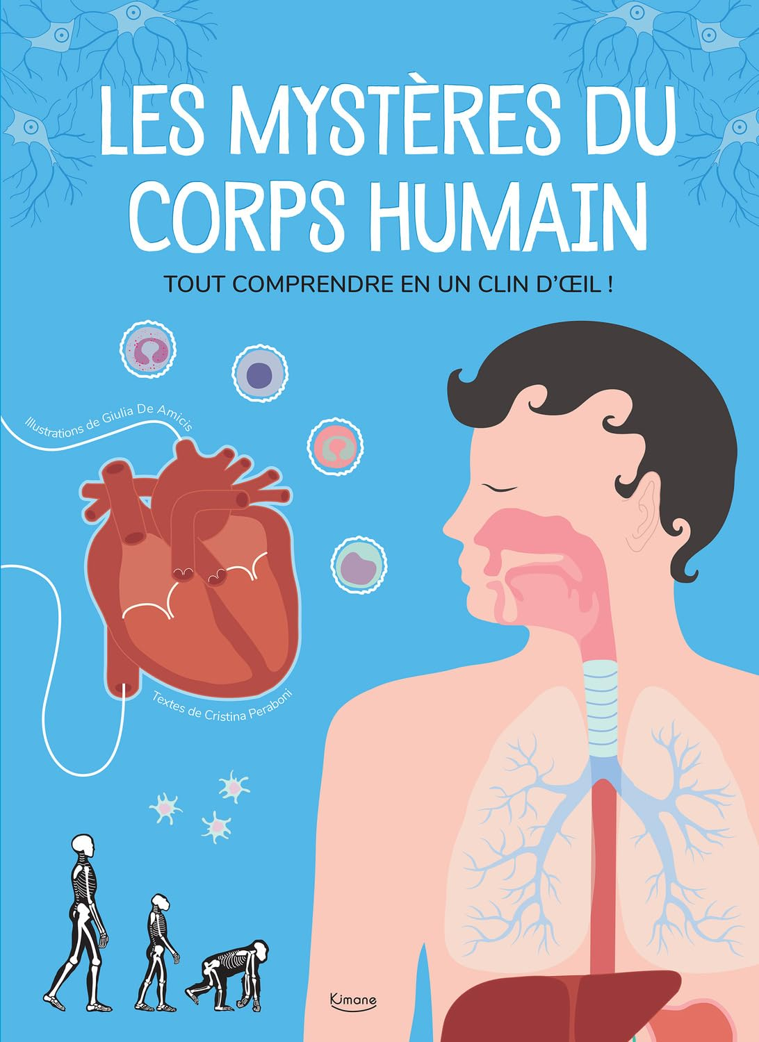 Les mystères du corps humain : tout comprendre en un clin d'oeil !