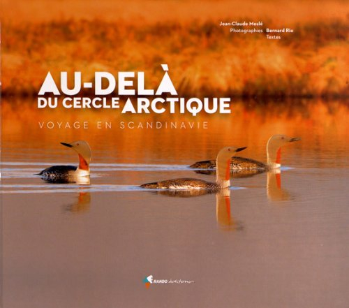 Au-delà du cercle arctique : voyage en Scandinavie