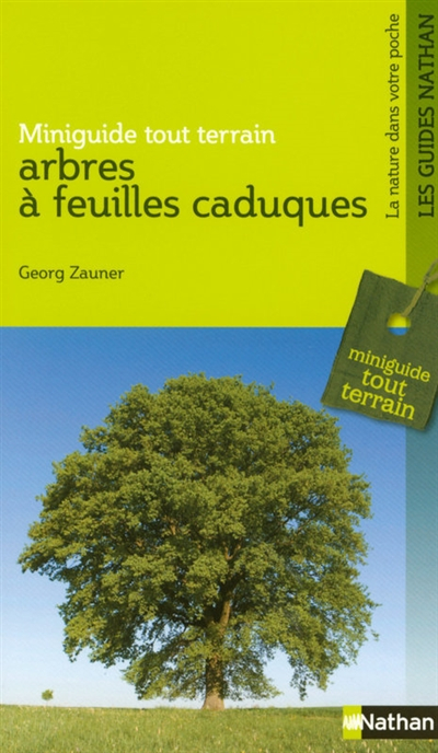Arbres à feuilles caduques