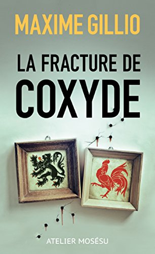 la fracture de coxyde