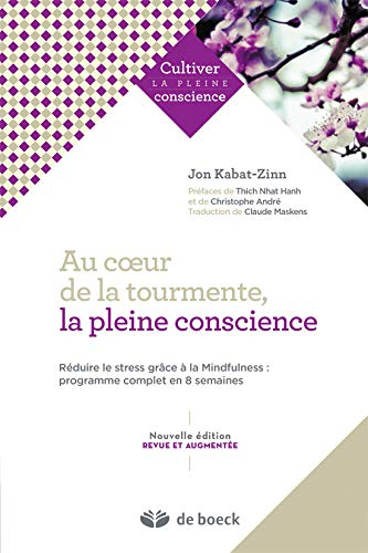 Au coeur de la tourmente, la pleine conscience : réduire le stress grâce à la mindfulness : programm