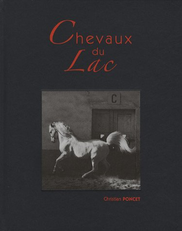 Chevaux du lac