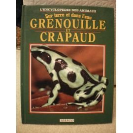 Grenouille et crapaud : sur terre et dans l'eau