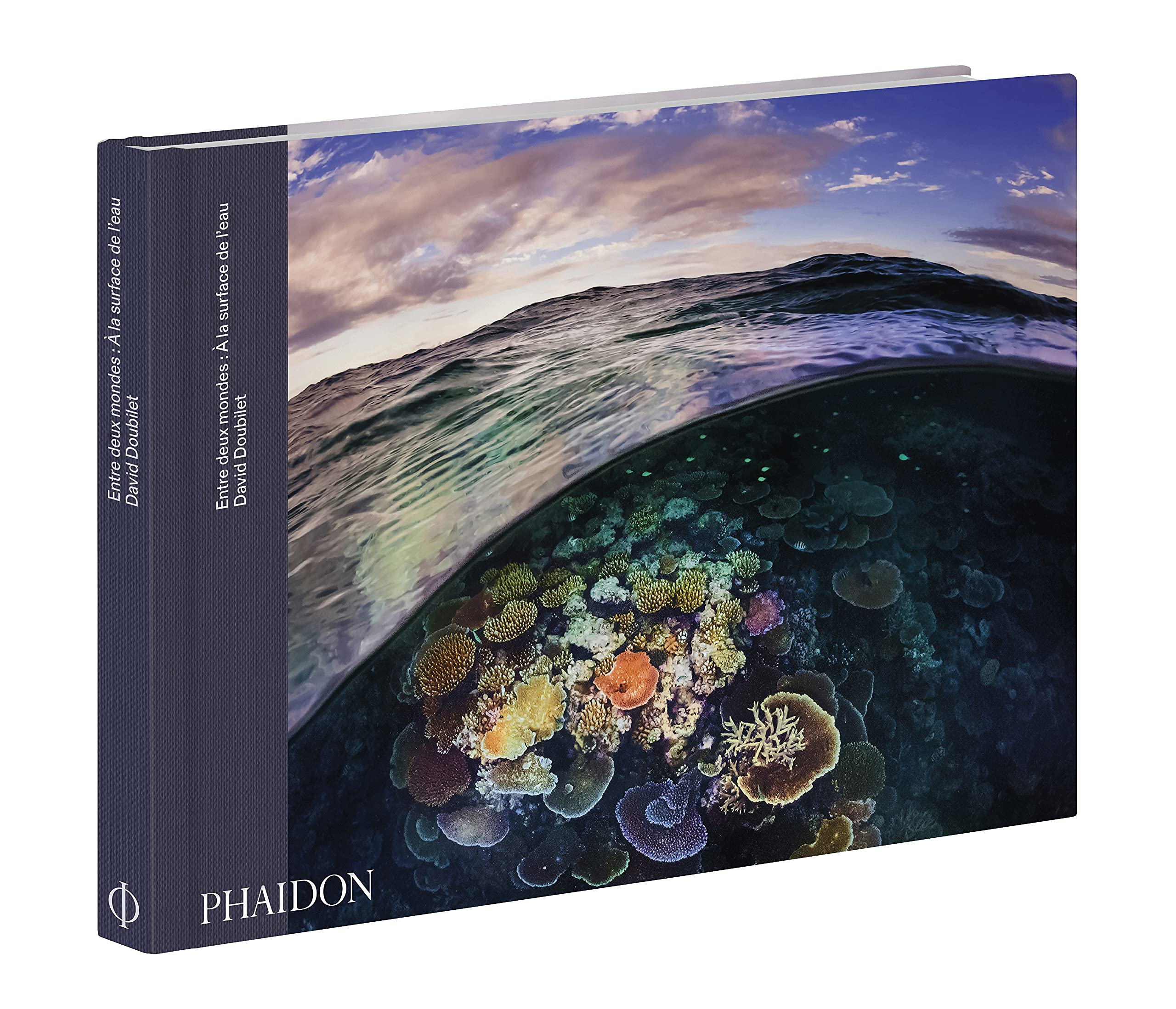 Entre deux mondes : à la surface de l'eau