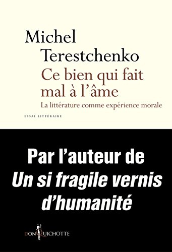 Ce bien qui fait mal à l'âme : la littérature comme expérience morale : essai littéraire