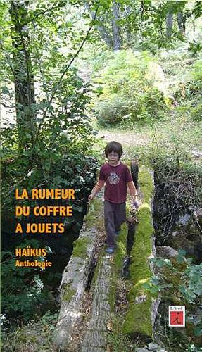 La rumeur du coffre à jouets : haïkus, anthologie