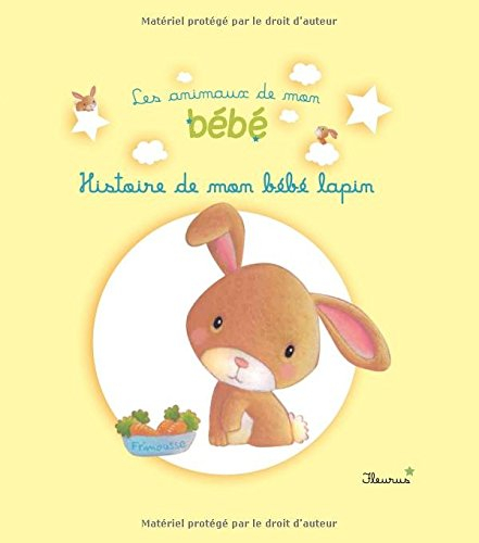 Histoire de mon bébé lapin