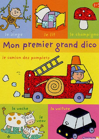 Mon premier grand dico