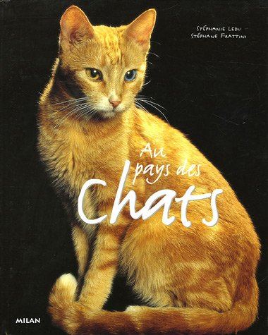 Au pays des chats