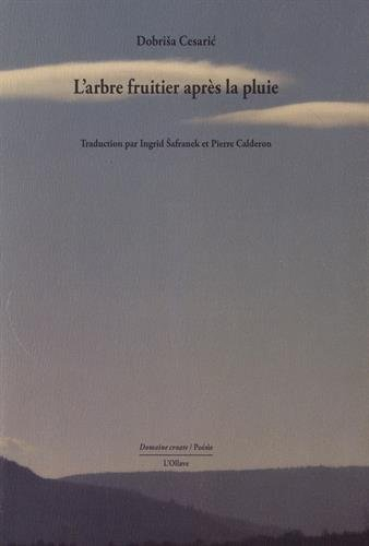 l'arbre fruitier après la pluie