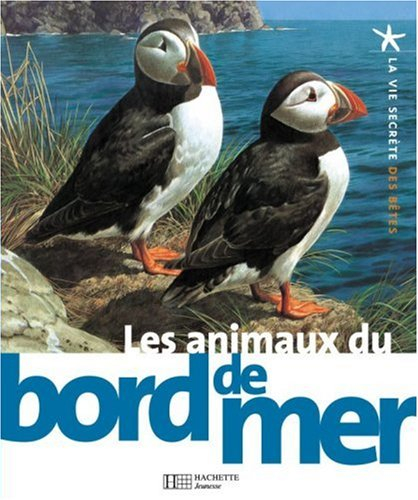 Les animaux du bord de mer