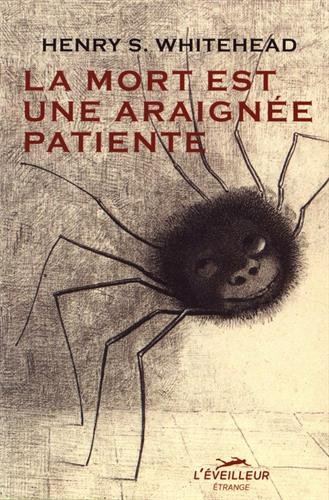 la mort est une araignée patiente