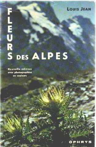 fleurs des alpes