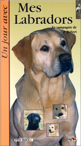 Un jour avec mon labrador