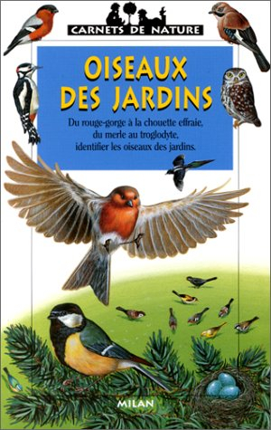 oiseaux des jardins
