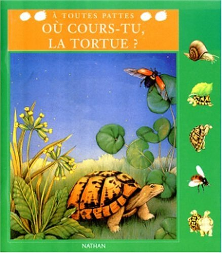 Où cours-tu tortue ?