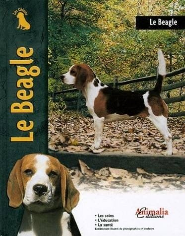 Le beagle